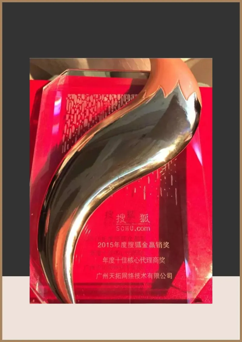 2015年度搜狐