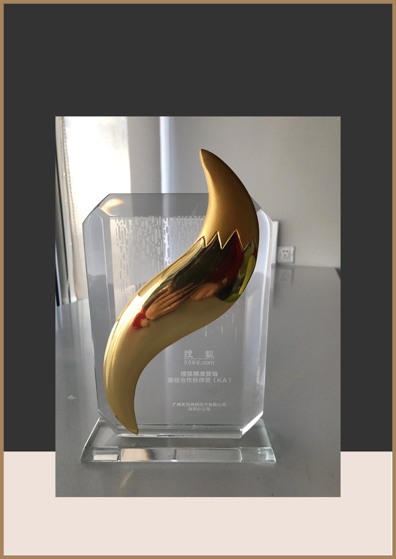 2015搜狐