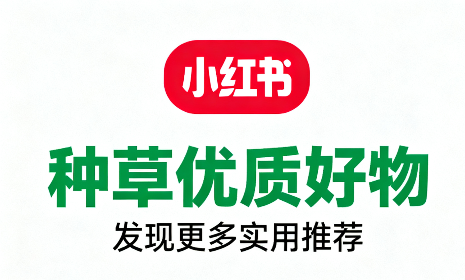 小红书516.png