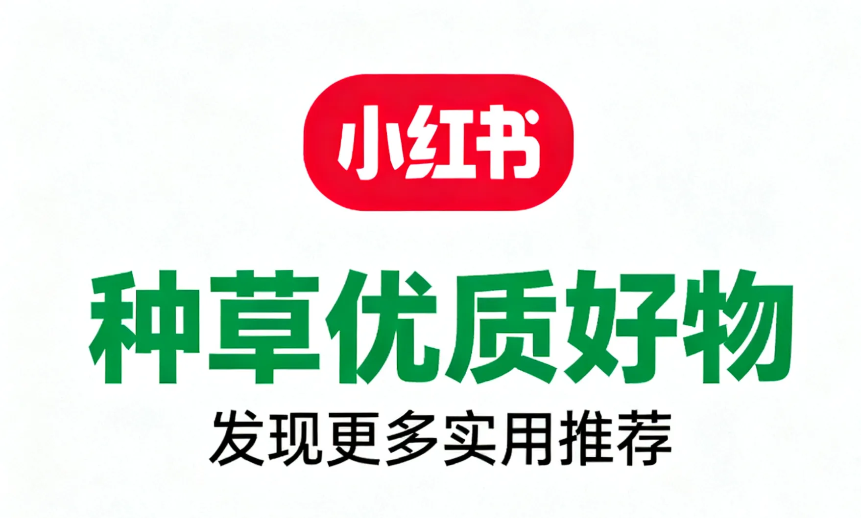 小红书516.png