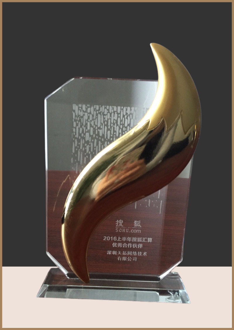 2016搜狐