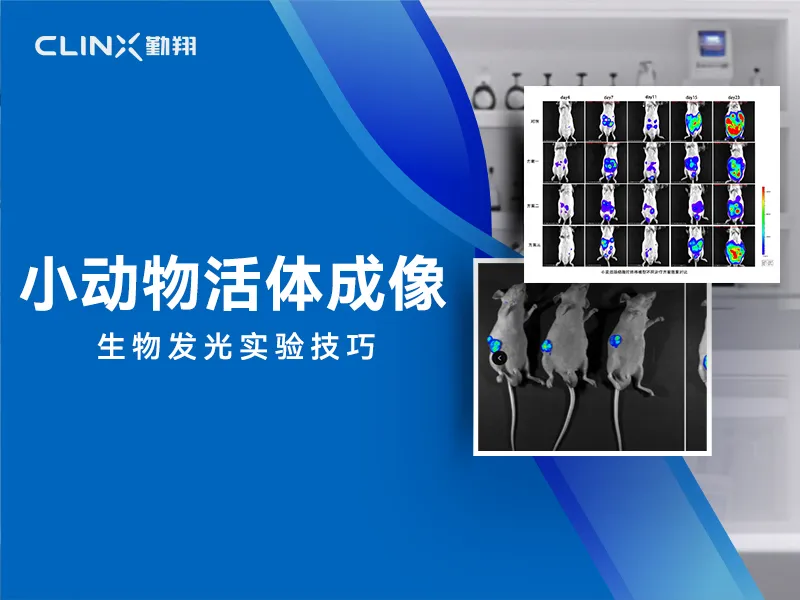 生物发光实验技巧(1).jpg