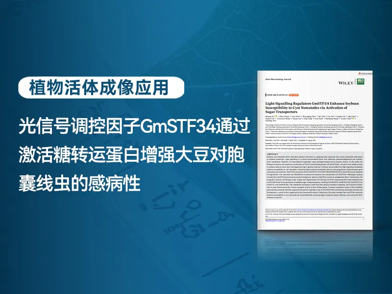 官网中文.jpg