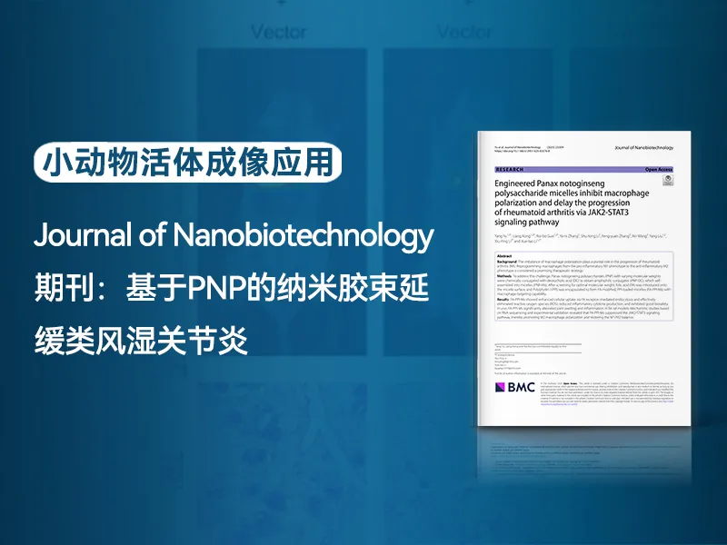 官网中文.jpg