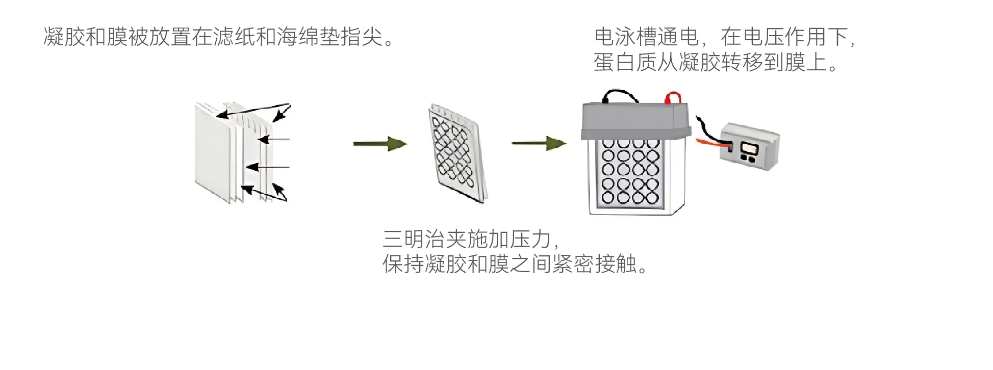 標題